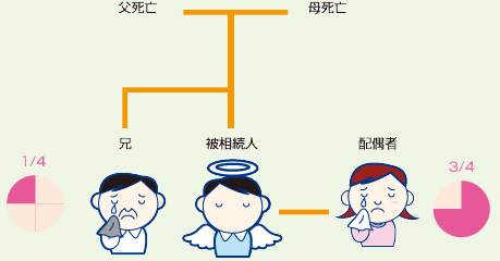 相続人が配偶者と兄弟の場合