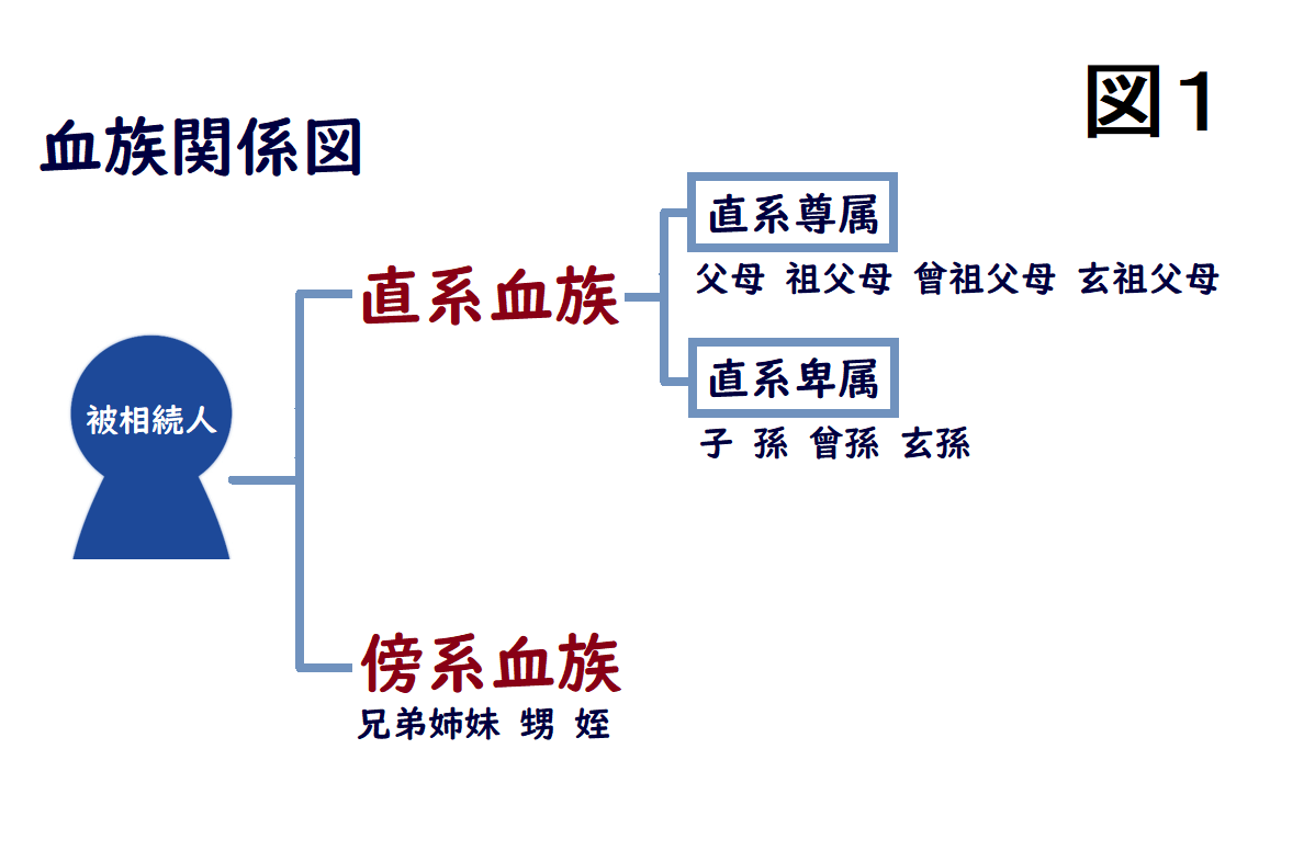 血族関係図。直系血族と傍系血族に関して